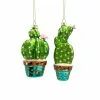Best Pirce ✔️ Assorted Glass Cactus Ornament by Ashland® ❤️