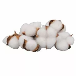 Promo 💯 Cotton Pod Filler by Ashland® 👏