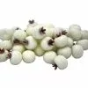 Wholesale 💯 White Sugared Berries by Ashland® 🎉 2 Wholesale 💯 White Sugared Berries by Ashland® 🎉 -Ashland Sale Store 10702541 1