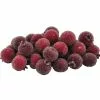 Best deal 🎁 Red Sugared Berries by Ashland® ❤️ -Ashland Sale Store 10702542 1