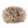 Cheap 🤩 Natural Spanish Moss by Ashland® 🎁 -Ashland Sale Store 10703334 2
