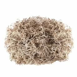 Cheap 🤩 Natural Spanish Moss by Ashland® 🎁