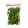 Buy ✔️ Green Reindeer Moss by Ashland® 😀 -Ashland Sale Store 10703339 1