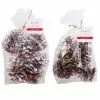 Brand new 😀 Assorted Pinecone Mix by Ashland® ⌛ -Ashland Sale Store 10703682 1