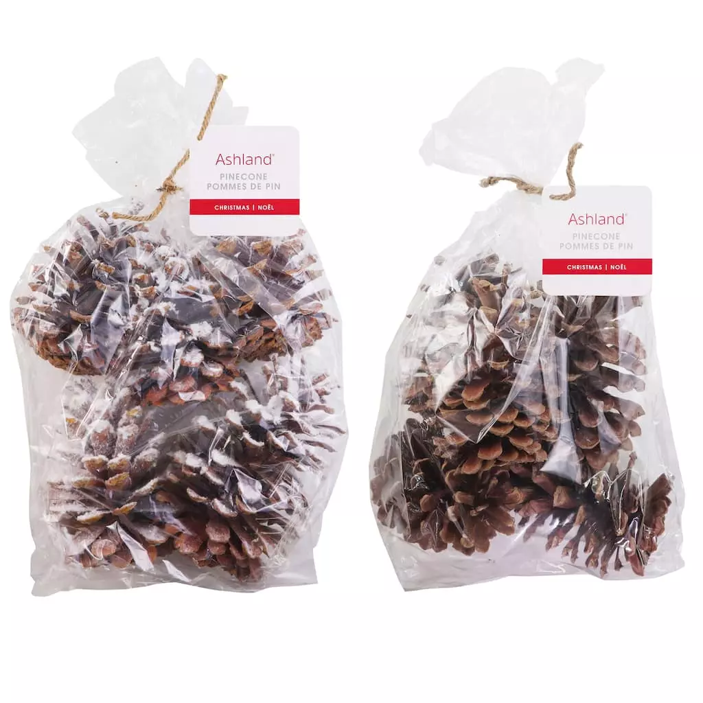 Brand new 😀 Assorted Pinecone Mix by Ashland® ⌛ 3 Brand new 😀 Assorted Pinecone Mix by Ashland® ⌛
