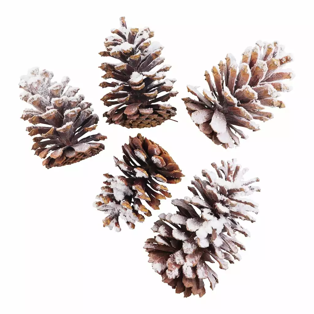 Brand new 😀 Assorted Pinecone Mix by Ashland® ⌛ 4 Brand new 😀 Assorted Pinecone Mix by Ashland® ⌛ - Image 2