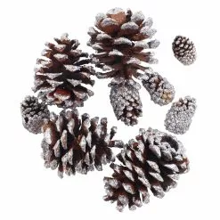 Promo ✔️ Brown & Silver Glitter Pinecones by Ashland® ✨