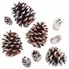 Best Sale ⌛ Snow Dusted Pinecones by Ashland® 🤩 -Ashland Sale Store 10703688 2