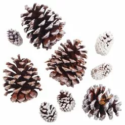 Best Sale ⌛ Snow Dusted Pinecones by Ashland® 🤩