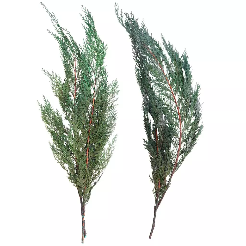 Deals 👍 Assorted Dried Cedar Bouquet by Ashland® 🌟 3 Deals 👍 Assorted Dried Cedar Bouquet by Ashland® 🌟