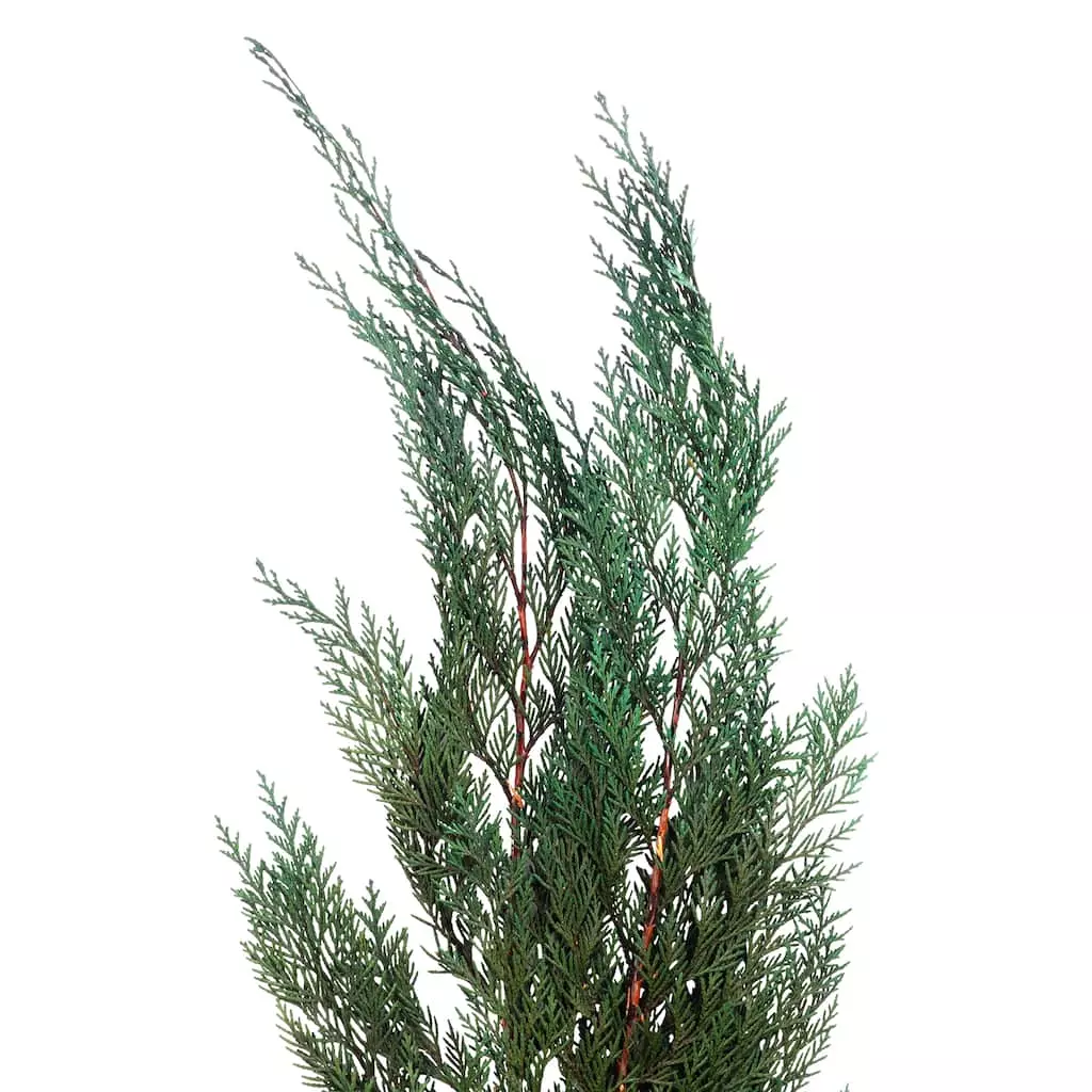 Deals 👍 Assorted Dried Cedar Bouquet by Ashland® 🌟 4 Deals 👍 Assorted Dried Cedar Bouquet by Ashland® 🌟 - Image 2