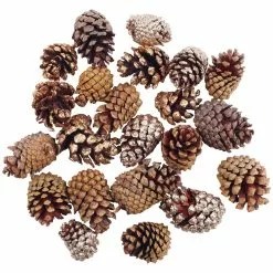 Hot Sale 💯 Assorted Cinnamon Scented Pinecones by Ashland® 🔔 -Ashland Sale Store 10703830 2