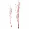Best Sale ⌛ Assorted Red Birch Branch by Ashland® ⭐ -Ashland Sale Store 10703836 1
