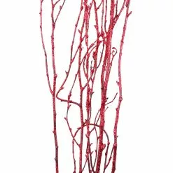 Best Sale ⌛ Assorted Red Birch Branch by Ashland® ⭐ -Ashland Sale Store 10703836 2