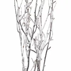 Discount 🔥 Assorted Snow Covered Birch Branch by Ashland® ⭐ -Ashland Sale Store 10703838 2