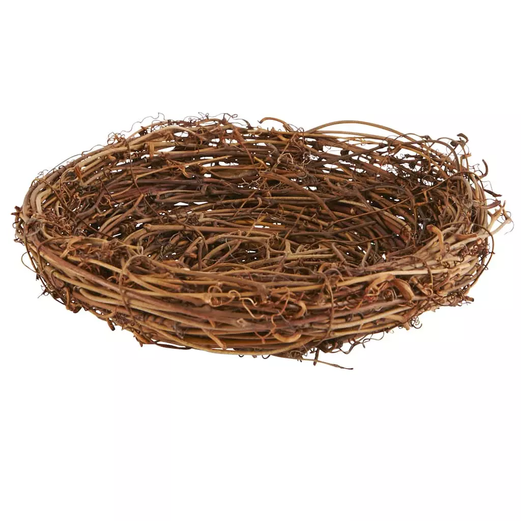 Top 10 ✔️ 8" Bird Nest by Ashland® 🎁 3 Top 10 ✔️ 8" Bird Nest by Ashland® 🎁