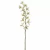 Deals 😉 8 Pack: Cream Boat Orchid Stem by Ashland® 👏 -Ashland Sale Store 230929