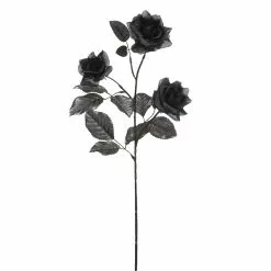 New 🛒 12 Pack: Black Diamond Rose Spray by Ashland® 😉