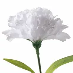 Best deal 💯 24 Pack: White Carnation Spray by Ashland® 💯 -Ashland Sale Store MP017878 20