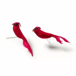 New ⭐ 24 Packs: 2 ct. (48 total) Cardinal Birds by Ashland® ⭐ -Ashland Sale Store MP029954 21