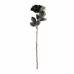 Flash Sale ❤️ 12 Pack: Black Open Rose Stem by Ashland™ 🥰 -Ashland Sale Store MP035292 21