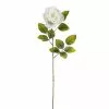 Brand new ⌛ 24 Pack: White Holland Rose Stem by Ashland® 🧨 -Ashland Sale Store MP056110 1