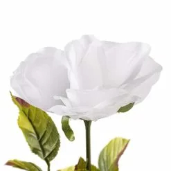Brand new ⌛ 24 Pack: White Holland Rose Stem by Ashland® 🧨 -Ashland Sale Store MP056110 20