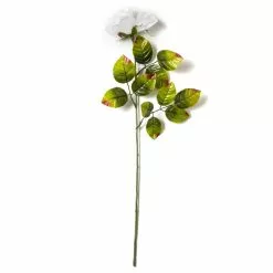 Brand new ⌛ 24 Pack: White Holland Rose Stem by Ashland® 🧨 -Ashland Sale Store MP056110 21