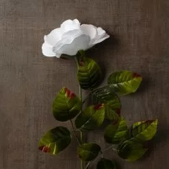 Brand new ⌛ 24 Pack: White Holland Rose Stem by Ashland® 🧨 -Ashland Sale Store MP056110 25