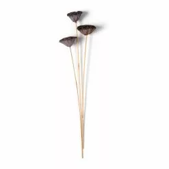 Deals ✨ 12 Pack: Natural Lotus Pods Stem by Ashland® ⌛ -Ashland Sale Store MP065712 21
