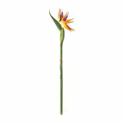 Coupon 👏 12 Pack: Yellow Bird of Paradise Stem by Ashland® 👏 -Ashland Sale Store MP066898 21