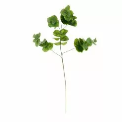 Wholesale ๐ 12 Pack: Green Eucalyptus Branch by Ashland® ๐ 7 Wholesale ๐ 12 Pack: Green Eucalyptus Branch by Ashland® ๐ -Ashland Sale Store MP067561 30