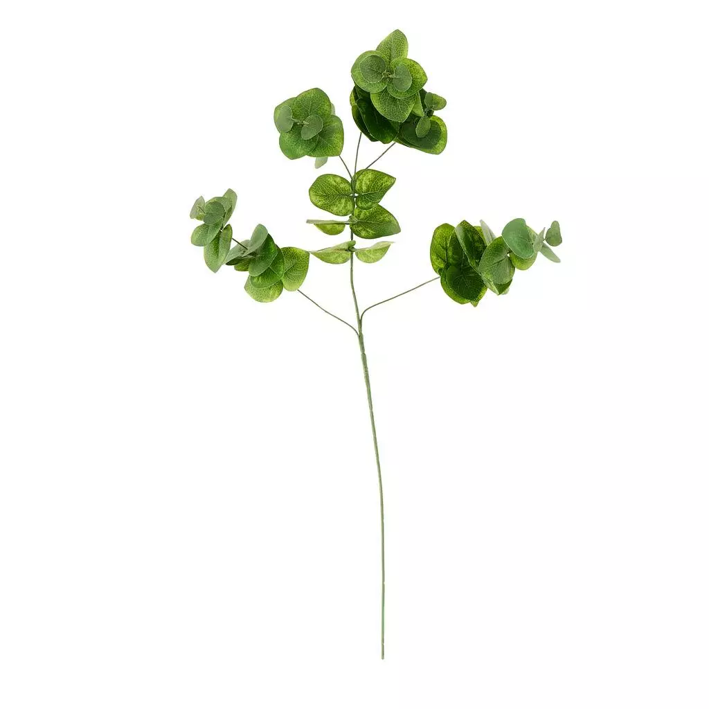Wholesale ๐ 12 Pack: Green Eucalyptus Branch by Ashland® ๐ 5 Wholesale ๐ 12 Pack: Green Eucalyptus Branch by Ashland® ๐ - Image 3