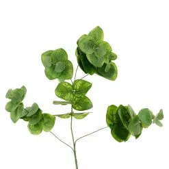 Wholesale 😀 12 Pack: Green Eucalyptus Branch by Ashland® 🔔