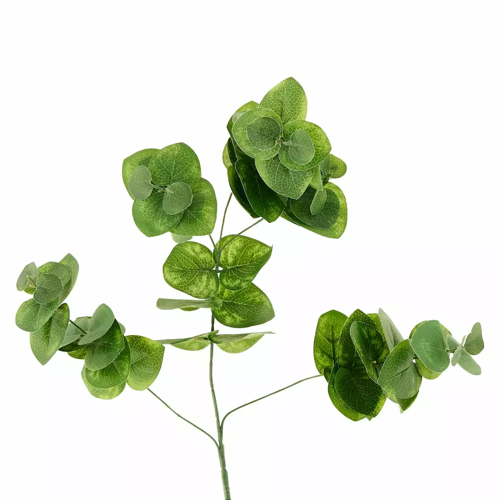 Wholesale ๐ 12 Pack: Green Eucalyptus Branch by Ashland® ๐ 3 Wholesale ๐ 12 Pack: Green Eucalyptus Branch by Ashland® ๐