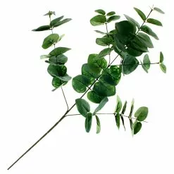 Flash Sale 💯 12 Pack: Green Eucalyptus Spray by Ashland® ✔️