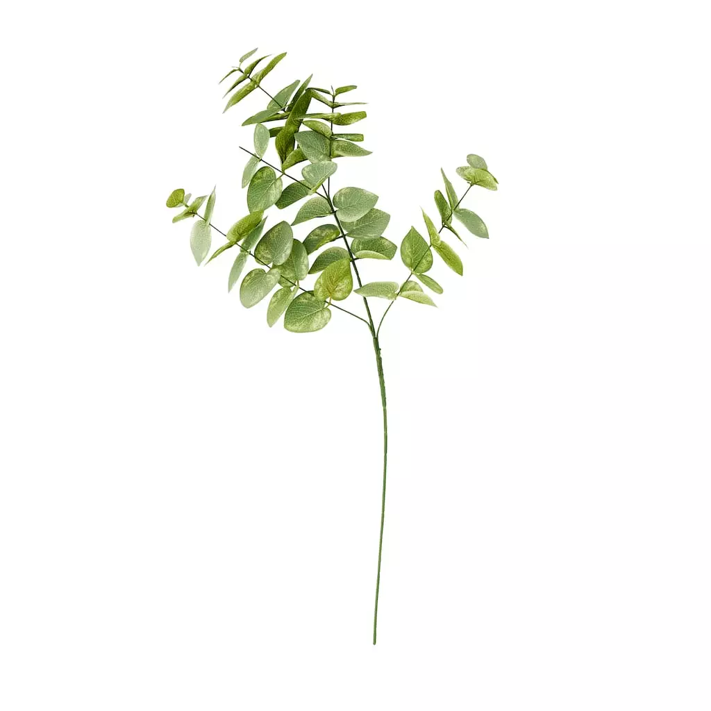 Cheap ⌛ 12 Pack: Green Eucalyptus Branch by Ashland® 🥰 5 Cheap ⌛ 12 Pack: Green Eucalyptus Branch by Ashland® 🥰 - Image 3