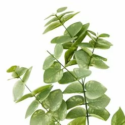 Cheap ⌛ 12 Pack: Green Eucalyptus Branch by Ashland® 🥰