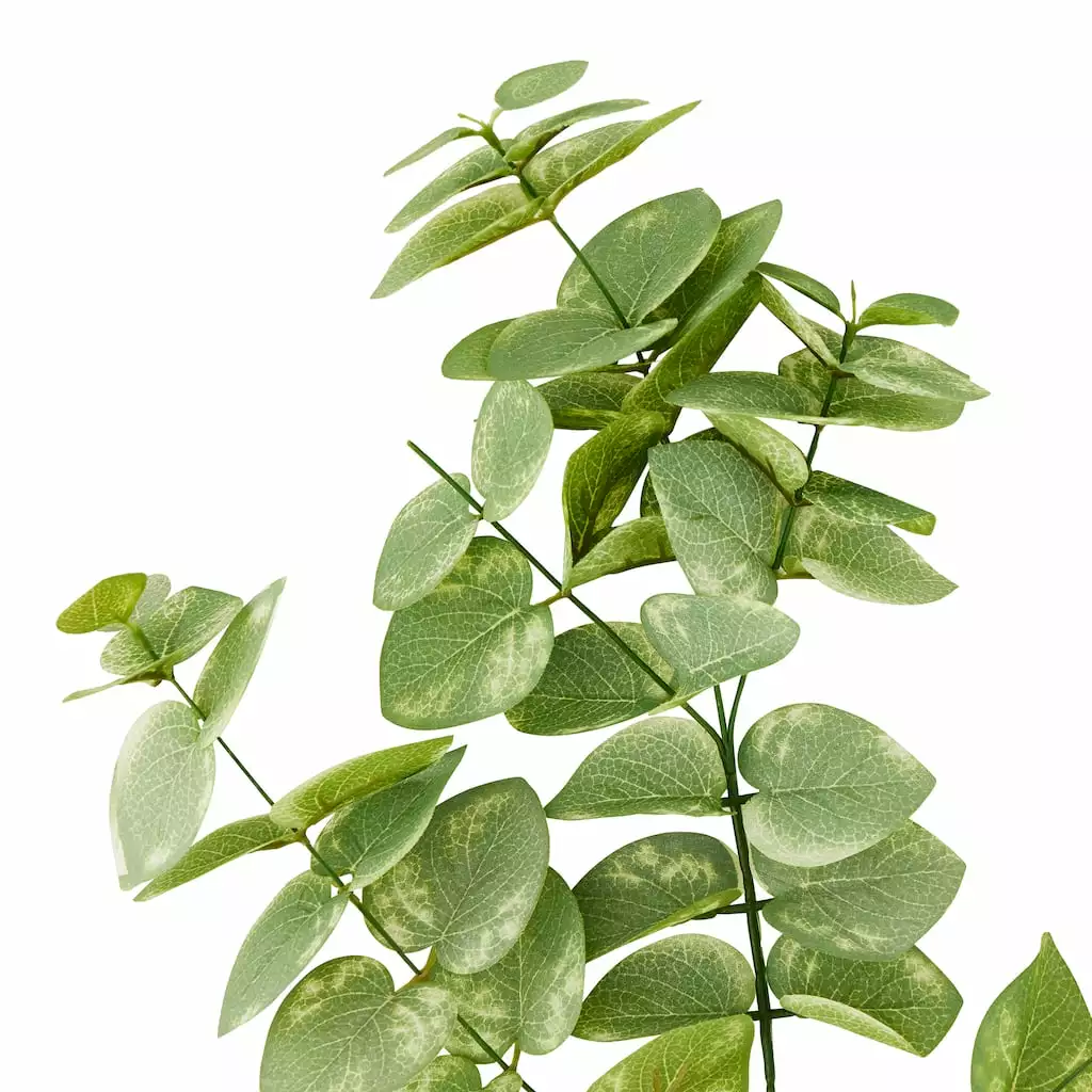 Cheap ⌛ 12 Pack: Green Eucalyptus Branch by Ashland® 🥰 3 Cheap ⌛ 12 Pack: Green Eucalyptus Branch by Ashland® 🥰