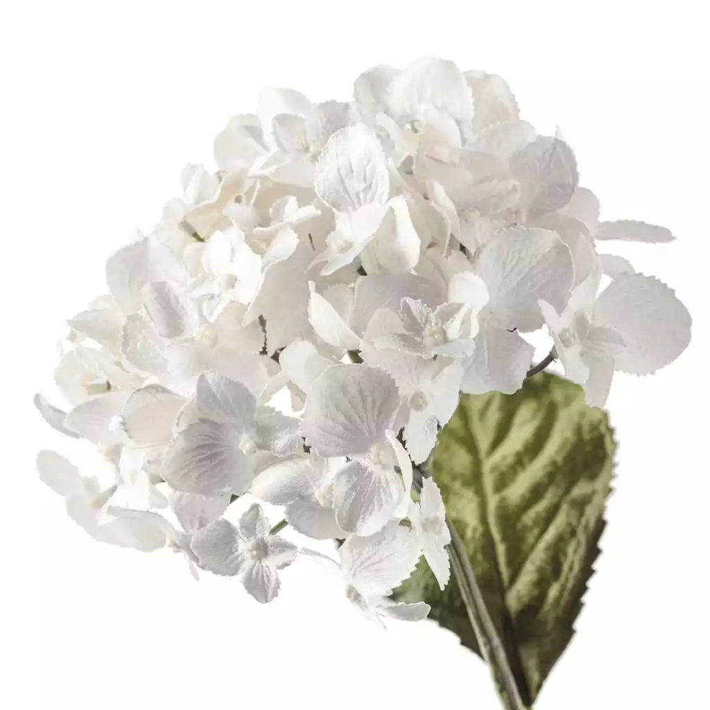 Wholesale ✔️ 12 Pack: Pearl Hydrangea Stem by Ashland® 🛒 6 Wholesale ✔️ 12 Pack: Pearl Hydrangea Stem by Ashland® 🛒 - Image 4