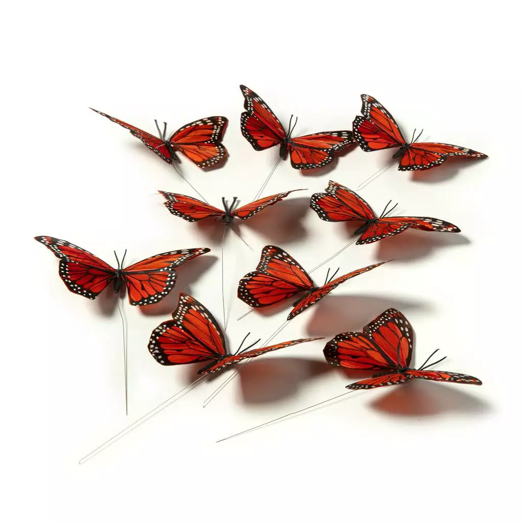 Best reviews of 🤩 8 Packs: 8 ct. (64 total) Assorted 8.6" Monarch Butterfly Pack by Ashland® 🔥 5 Best reviews of 🤩 8 Packs: 8 ct. (64 total) Assorted 8.6" Monarch Butterfly Pack by Ashland® 🔥 - Image 3
