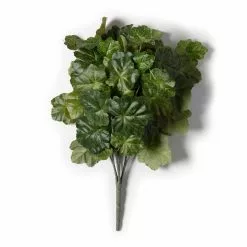 Flash Sale ✔️ 10 Pack: Coral Bell Bush by Ashland® 🛒 -Ashland Sale Store MP129104 21