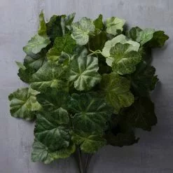 Flash Sale ✔️ 10 Pack: Coral Bell Bush by Ashland® 🛒 -Ashland Sale Store MP129104 25