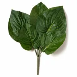 Top 10 ⭐ 12 Pack: Green Hosta Bush by Ashland® 🔔 -Ashland Sale Store MP131106 21