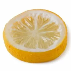 Deals ✨ 12 Pack: Assorted Fruit Slice Décor Accent by Ashland® 🤩 -Ashland Sale Store MP131162 21