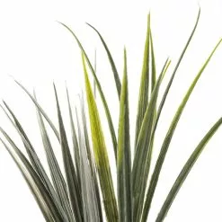 Budget ⌛ 24 Pack: Assorted Wild Grass Bush by Ashland® ⭐ -Ashland Sale Store MP133407 20