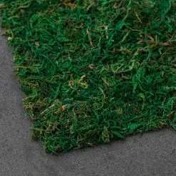 Brand new 🧨 12 Pack: Moss Table Runner by Ashland® ⭐ -Ashland Sale Store MP135021 21