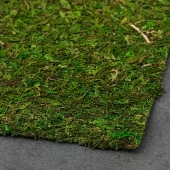 Wholesale ✔️ 12 Pack: Moss Mat by Ashland® ⌛ -Ashland Sale Store MP135027 21