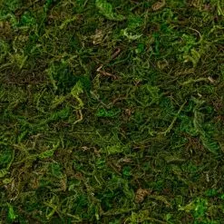 Wholesale ✔️ 12 Pack: Moss Mat by Ashland® ⌛ -Ashland Sale Store MP135027 22