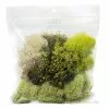 Flash Sale 🌟 6 Pack: Moss Variety Pack by Ashland® ❤️ 1 Flash Sale 🌟 6 Pack: Moss Variety Pack by Ashland® ❤️ -Ashland Sale Store MP135036 1